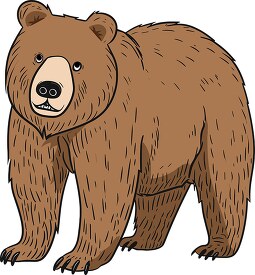 large grizzly bear illustration with detailed fur