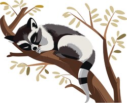 lemur peacefully sleeps on a tree branch