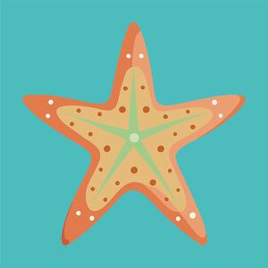 light orange starfish illustration on a teal background