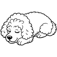 Line drawing of a cute poodle dog sleeping