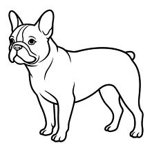 Line drawing of a French bulldog running