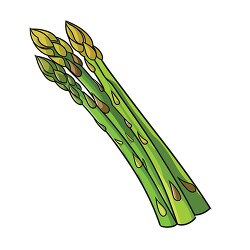 long slender stalks of asparagus