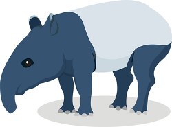 malayan tapir standing clip art