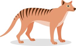 marsupial illustration of a tasmanian tiger