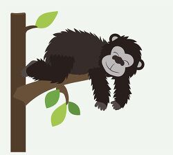 monkey hanging off a tree branch while sleeping