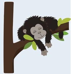 monkey sleeping peacefully on a tree branch clipart