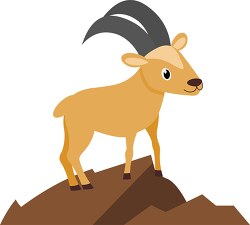 mountain goat standing on a hill with a long horn