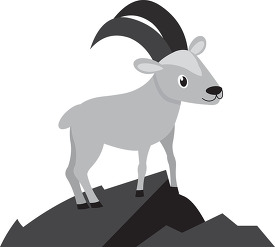 mountain goat standing on a hill with a long horn gray color cli