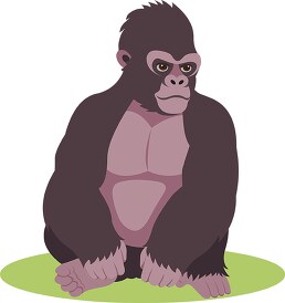 mountain gorilla animal clipart