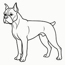 muscular boxer dog standing on all four legs black outline
