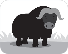 musk ox hoofed animal in arctic gray color clipart