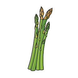 nutritious asparagus stalks clip art