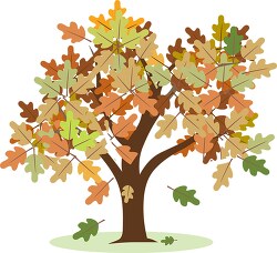 oak tree with fall foliage clipart