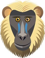 olive baboon face