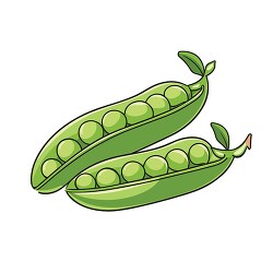 open green peas pods clip art