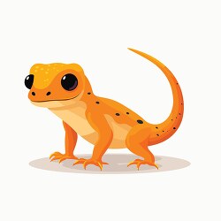 orange yellow amphibian newt