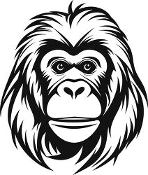 orangutan faceblack white outline illustration