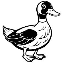 Outline drawing of a duck with detailed feathers