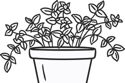 outline of a potted herb plant with several