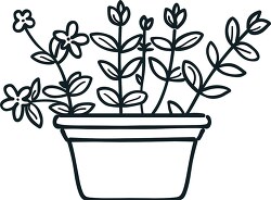 outline of a potted plant with several