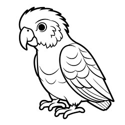 parrot fluffy feathers black outline