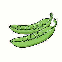 pea pods open showing peas clip art