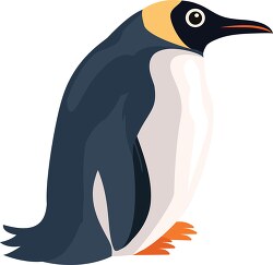 penguin blue gray and yellow around eyes