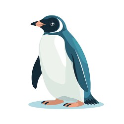 penguin flightless bird04943 clip art
