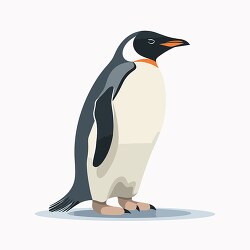 penguin stands shows off streamlined body clip art