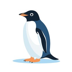 penguin with black and white plumage orange beak clip art