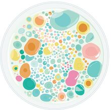 petri dish under a microscope 2