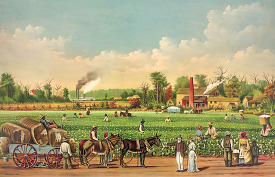 a cotton plantation on the mississippi