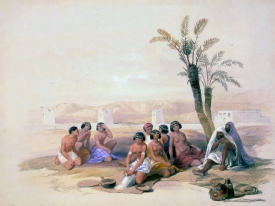 Abyssinian resting at Korti Nubia