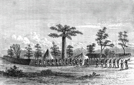 african camp and caravan historical illustration africa