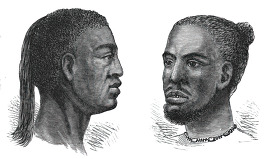 african native heads historical illustration africa