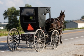 Amish or Mennonite couple and their horse and buggy traverse the