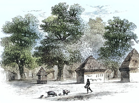 an african village historical illustration africa