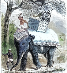 an elephant ride with mahout and howdah historical illustration