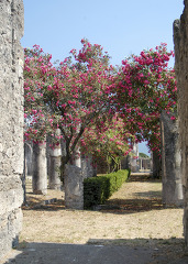 ancient city pompeii 26