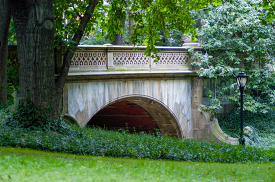 arched stone bridge covered with ivy new york