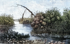 ascending the nile river historical illustration africa
