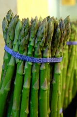 Asparagus wrapped with rubber band