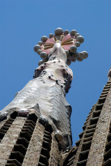 Basílica de la Sagrada Familia Pinnacles  hallmark of Gaudí