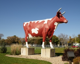 Buffy the Cow a landmark at the Mower County Fairgrounds in Aust