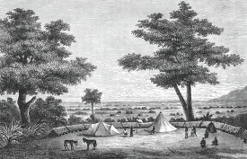 camp on the edge of the makata swamp in africa historical illust
