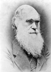 Charles Darwin portrait photo image