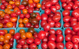 cherry tomatoes in baskets at market photo image 554b