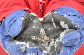 child wearing gloves in the winter