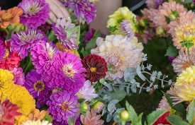 close up of a colorful assortment of flowers for sale