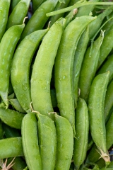 closeup shot of ripe pea pods